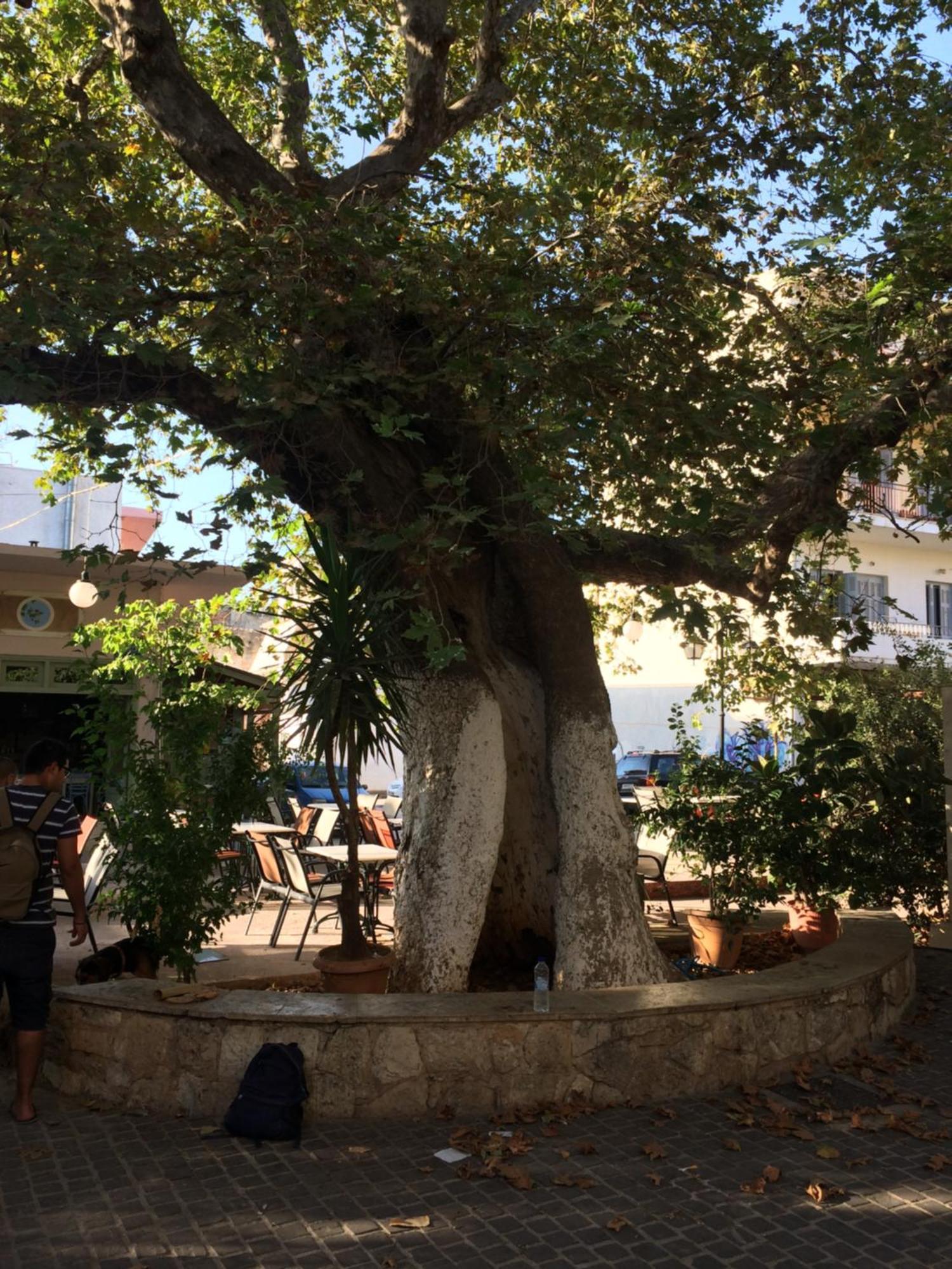 Lindas Convent Garden 4 Lägenhet Chania (Crete)